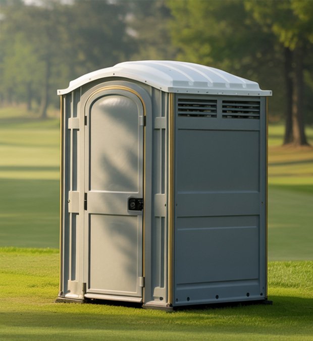 Festival Porta Potties in New York